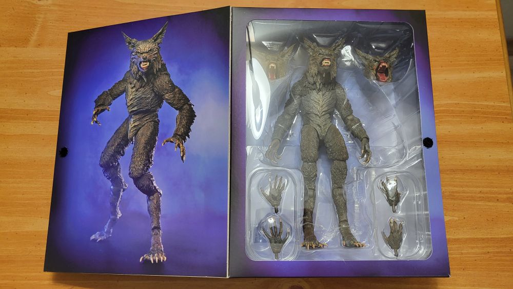 A look at the inside of the packaging with the interior of the flap on the left side, and the clear plastic window and contents behind it on the right side.