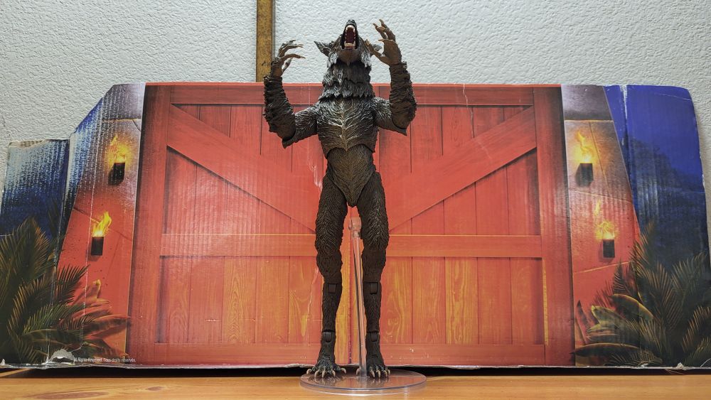 Front side view of the figure, in a howling pose, with arms raised up, head back. The camera is positioned slightly below the figure, looking up at it.